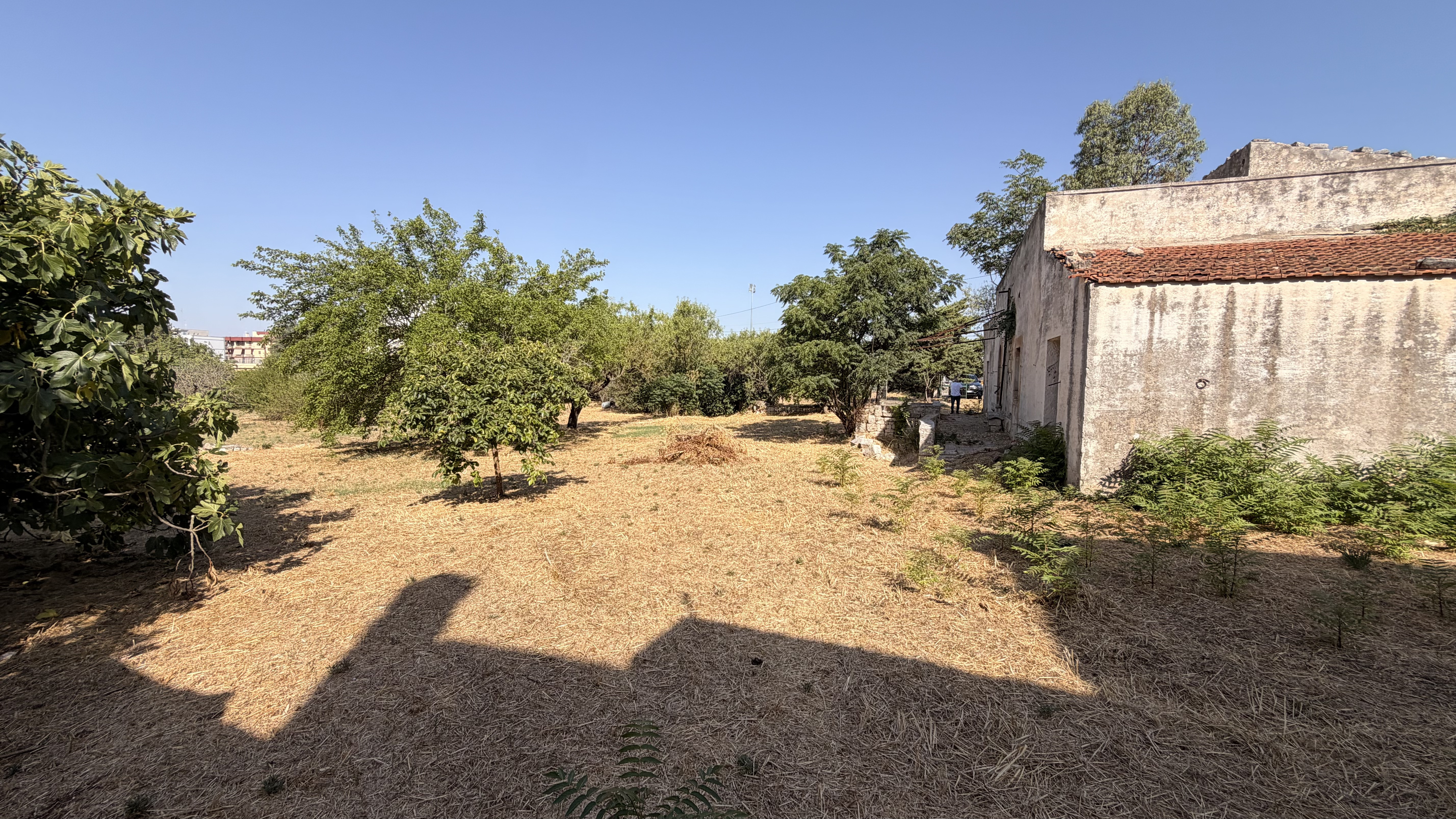 Prossimit&agrave; del paese Fabbricato in Pietra con Terreno